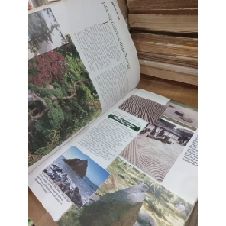 Ortho's All About Creating Japanese Gardens - Alvin Horton 1025999