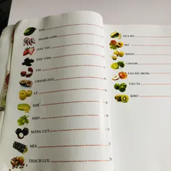 TRÁI CÂY CHỮA BỆNH 693633