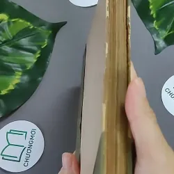 Trà Hoa Nữ 604659