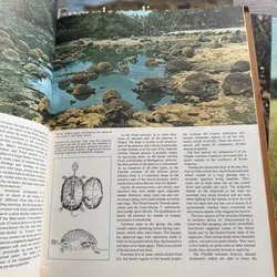 Encyclopedia of the Animal World 734448