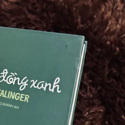 Bắt trẻ đồng xanh (bìa cứng) 708047