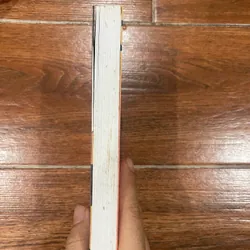 Phía sau nghi can X - Higashino Keigo (15) 1063357