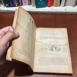 [Sách Mất Bìa, Tửng Bị Ẩm] - II Châm Cứu: Châm Tê - Hoàng Bảo Châu (Dịch) - 1975 798969