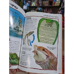 500 dữ kiện khoa học về động vật - 2013 mới 90% - KHOA HỌC ĐỜI SỐNG - HCM0111 920801