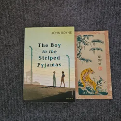 The boy in the striped pyjamas