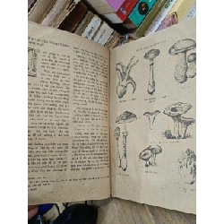 Đến với rừng - Nhiều tác giả 776236