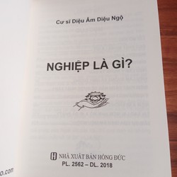 Nghiệp Là Gì ? - Cư sĩ Diệu Âm Diệu Ngộ 159348