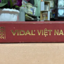Vidal Việt Nam 2003 🌊 718558
