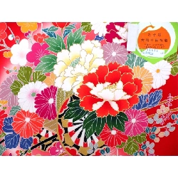 Trang phục trẻ em cho bé gái - Hàng hiệu Authentic 877465