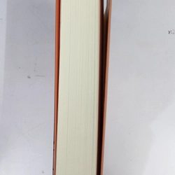 Sách Sơn ca vẫn hót của Kristin Hannah bìa mềm mới 99% 506752