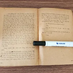 Tiểu thuyết KHÁT VỌNG ĐỔI ĐỜI (nhà văn Áo Stefan Zweig) 959963