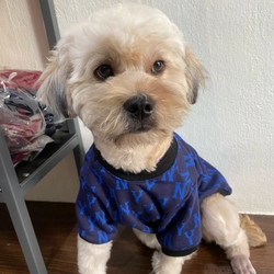 Áo Ny cho thú cưng 518376