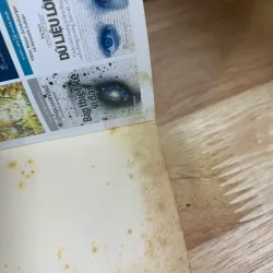 Cuộc Phiêu Lưu Cuối Cùng Của Feynman -  Ralph Leighton 926346