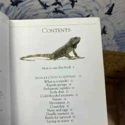 Pockets: Reptiles 1022230