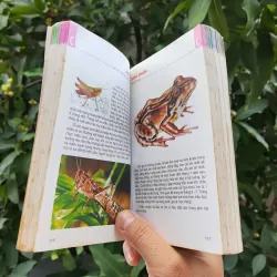 Từ Điển Tranh Về Các Con Vật - Lê Quang Long 753786