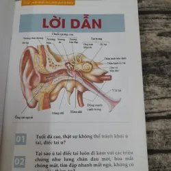 Bệnh Ù Tai- Mất Thính lực. Tìm hiểu và thuốc trị 756602