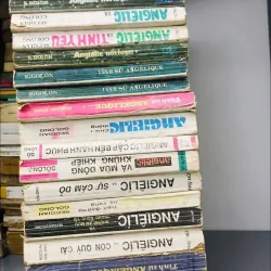 Angélic (Angélique) (Combo 17 tập) - Sergeanne Golon - Tiểu thuyết 620473