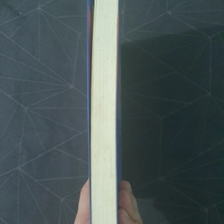 "Sao trên trời rất xa, sao của anh thật gần" - Phỉ Ngã Tư Tồn 475600