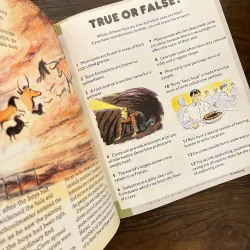 ✨𝑪𝒂𝒗𝒆𝒔 (𝑭𝒂𝒄𝒕𝒔 - 𝑺𝒕𝒐𝒓𝒊𝒆𝒔 - 𝑨𝒄𝒕𝒊𝒗𝒊𝒕𝒊𝒆𝒔)✨ 778854