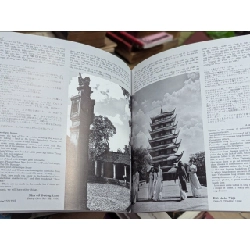 Ký ức miền quê - Tam Thái 181707