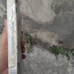 Quang Dũng người và thơ của Hoài Việt ( bản in lần 2 ) 1023973