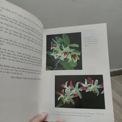 Kỹ Thuật Nuôi Trồng Phong Lan - Trần Văn Bảo 588687