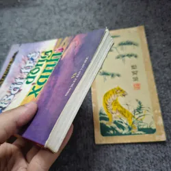 Bắt trẻ đồng xanh - Salinger 733941