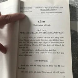 Bộ luật hình sự 1999 sửa đổi 2009 457861