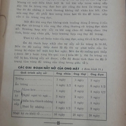 KĨ THUẬT NUÔI ONG THEO PHƯƠNG PHÁP KHOA HỌC 224398