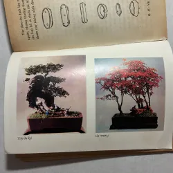 Tiểu Cảnh - Đỗ Xuân Hải 760189