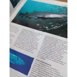 Le grand livre des poissons 559768