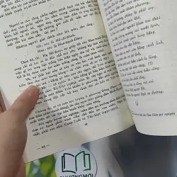 [MIỄN PHÍ BỌC SÁCH] Sấm Trạng Trình Dẫn Giải 928570