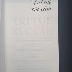 Trí tuệ xúc cảm - Daniel Goleman 713445