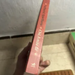 Chữ A màu đỏ - Nathaniel Hawthorne (như mới) 996430