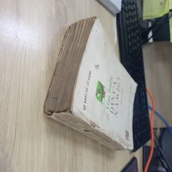 Tìm hiểu dân ca Nam Bộ (1983) - Lư Nhất Vũ và Lê Giang 1024262