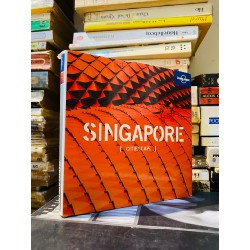 SINGAPOUR CITIESCAPE 166424