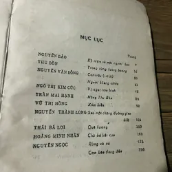 PHÍA NAM BỂN HẢI 1945-1985- KHỔ LỚN- NGUYÊN NGỌC, THU BỒN, N T KIM CÚC, T B LỢI 592102