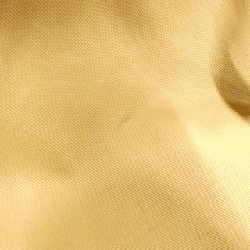 Túi TAO của Chloe - Hàng hiệu Chính hãng 770697