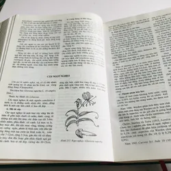 2. 📚 NHỮNG CÂY THUỐC VÀ VỊ THUỐC VIỆT NAM – Đỗ Tất Lợi Bìa cứng, khổ to, 1.272 trang 557999