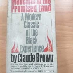 Manchild in the promised land 70847