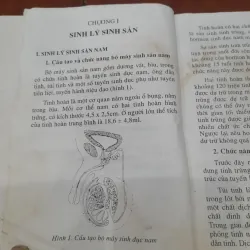 Sức khỏe sinh sản và Quan hệ tình dục hài hòa 800818