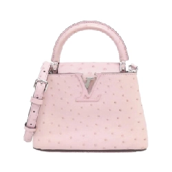 Túi xách Louis Vuitton Exotic Leather Capucines MINI N99334
