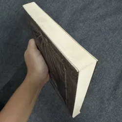 Mùa xương - Samantha Shannon 753720