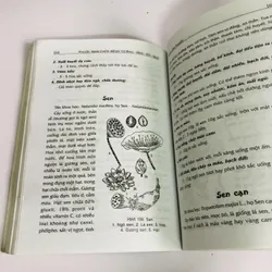 THUỐC NAM CHỮA BỆNH TỪ RAU - HOA - CỦ - QUẢ - RAU HOA CỦ LÀM THUỐC 603492