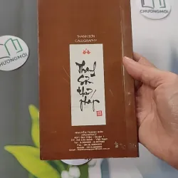 Phù Vân - Thư Pháp - Thanh Sơn 775953