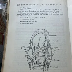 Bài giảng sản phụ khoa 2 tập - 1990, sách khổ lớn; khoảng 700 trang  1006351