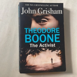 Theodore Boon - The activist - John Grisham