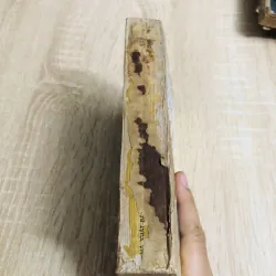 THUYỀN TRƯỞNG BLOOD – Rafael Sabatini 960018