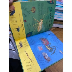 There Are Bugs Everywhere - Britta Teckentrup 550898