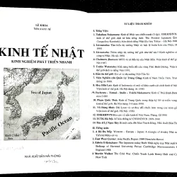 KINH TẾ NHẬT - Kinh nghiệm phát triển nhanh 1006083